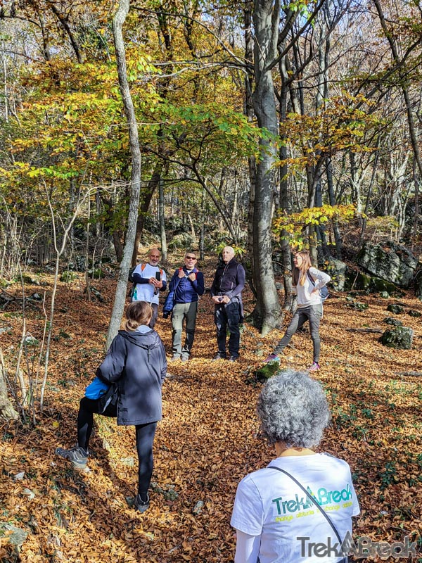 Monte Orsa (20).jpg